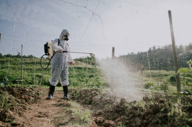 Best Best Pest Control Companies  in North Grosvenor Dale, CT