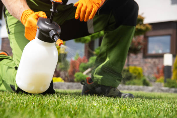 Best Pest Removal Services  in North Grosvenor Dale, CT