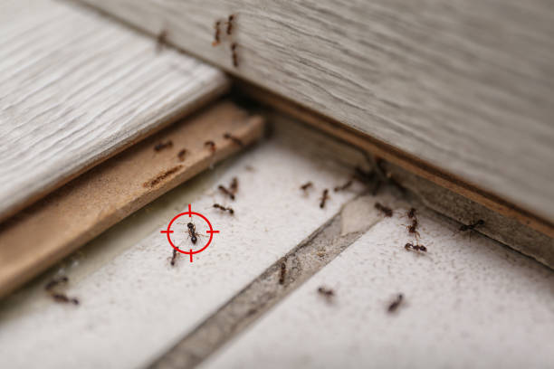 Pest Control for Restaurants in North Grosvenor Dale, CT