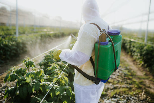 Trusted North Grosvenor Dale, CT Pest Control Experts